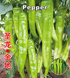 圣龙金帝辣椒