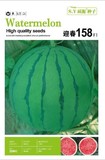 迎春158－西瓜