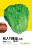 意大利－生菜