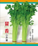留香－香芹