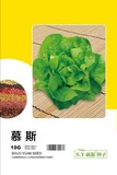 慕斯－生菜
