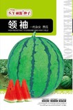 领袖－西瓜