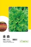 金森－生菜