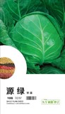 源绿－甘蓝