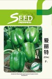 爱丽特－辣椒
