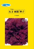 胭脂－生菜
