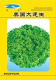 大速生－生菜