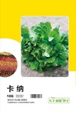 卡纳－生菜