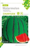 春元－西瓜