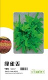 绿雀舌－生菜