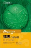 瑞思-口感甘蓝